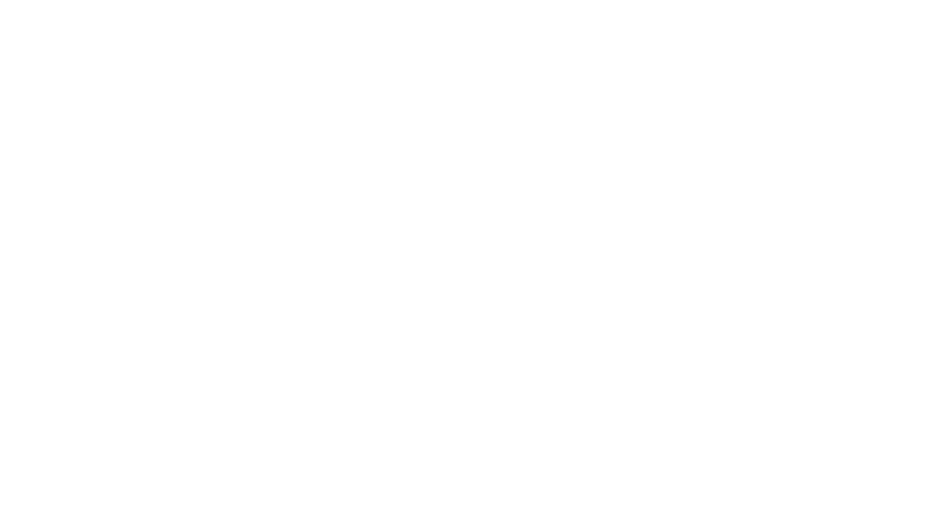 Bamboekwekerij Hoekse Waard